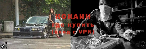 прущие крисы Пересвет