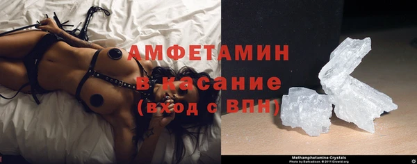 прущие крисы Пересвет