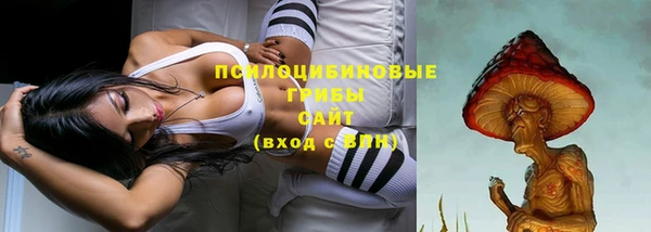 apvp Пестово