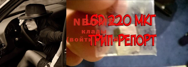 apvp Пестово