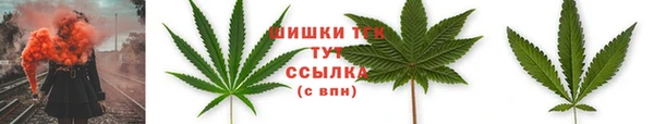 прущие крисы Пересвет