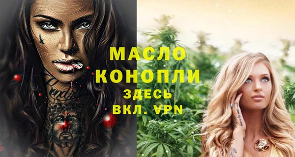 дмт Переславль-Залесский