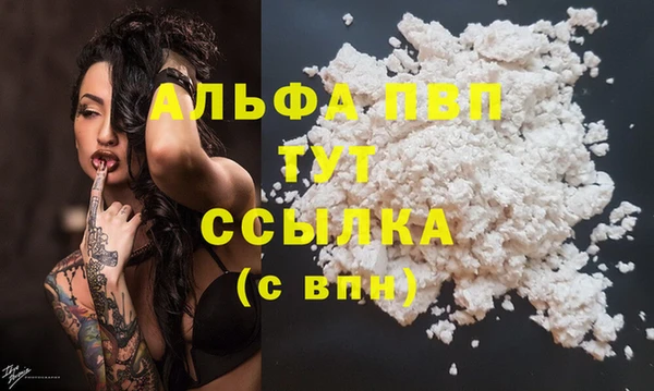 apvp Пестово