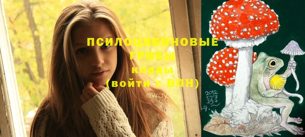 apvp Пестово
